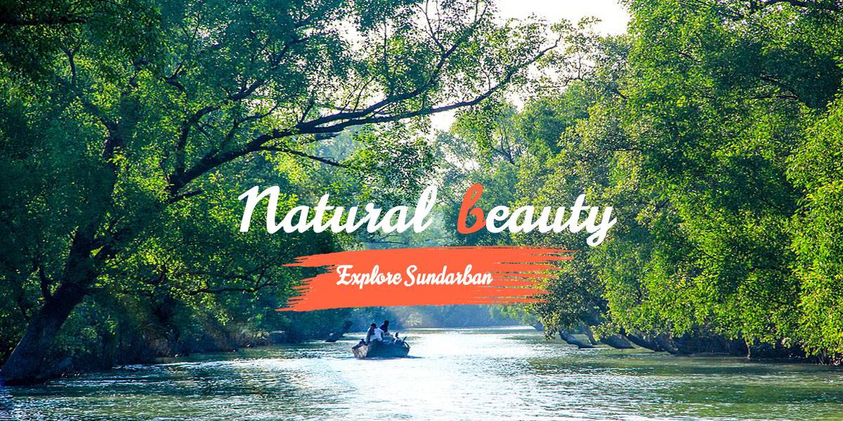 Book my Sundarban Trip Slider 2